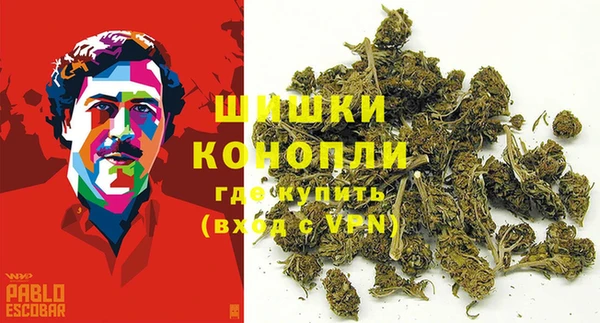 СК Надым