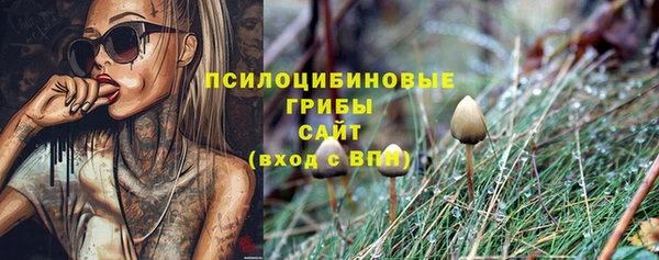 СК Надым