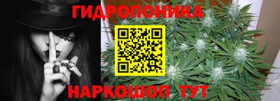 сатива Гусиноозёрск