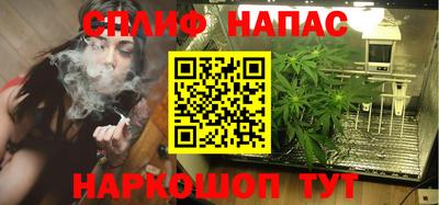 сатива Гусиноозёрск