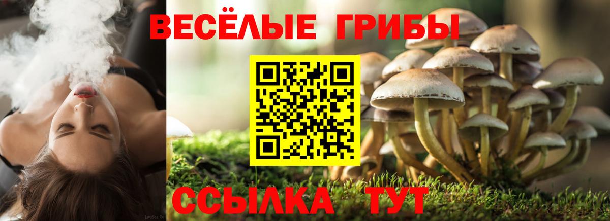 Галлюциногенные грибы мицелий Кондопога